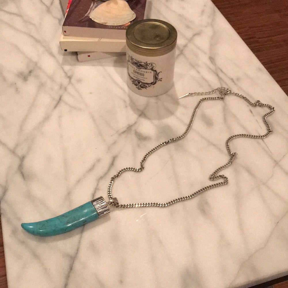 Jenny Bird Wildland “shark tooth” necklace